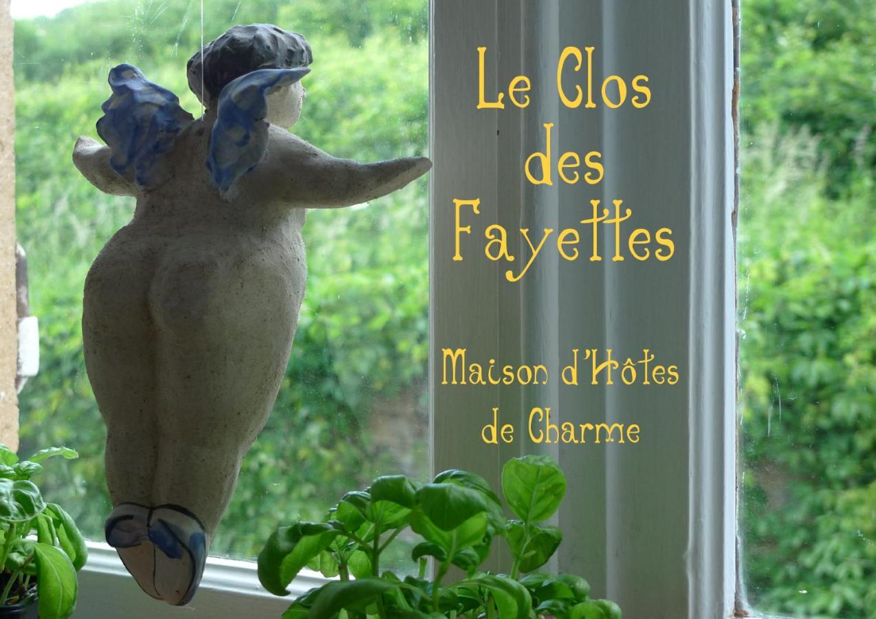 Le Clos Des Fayettes Theize Екстериор снимка