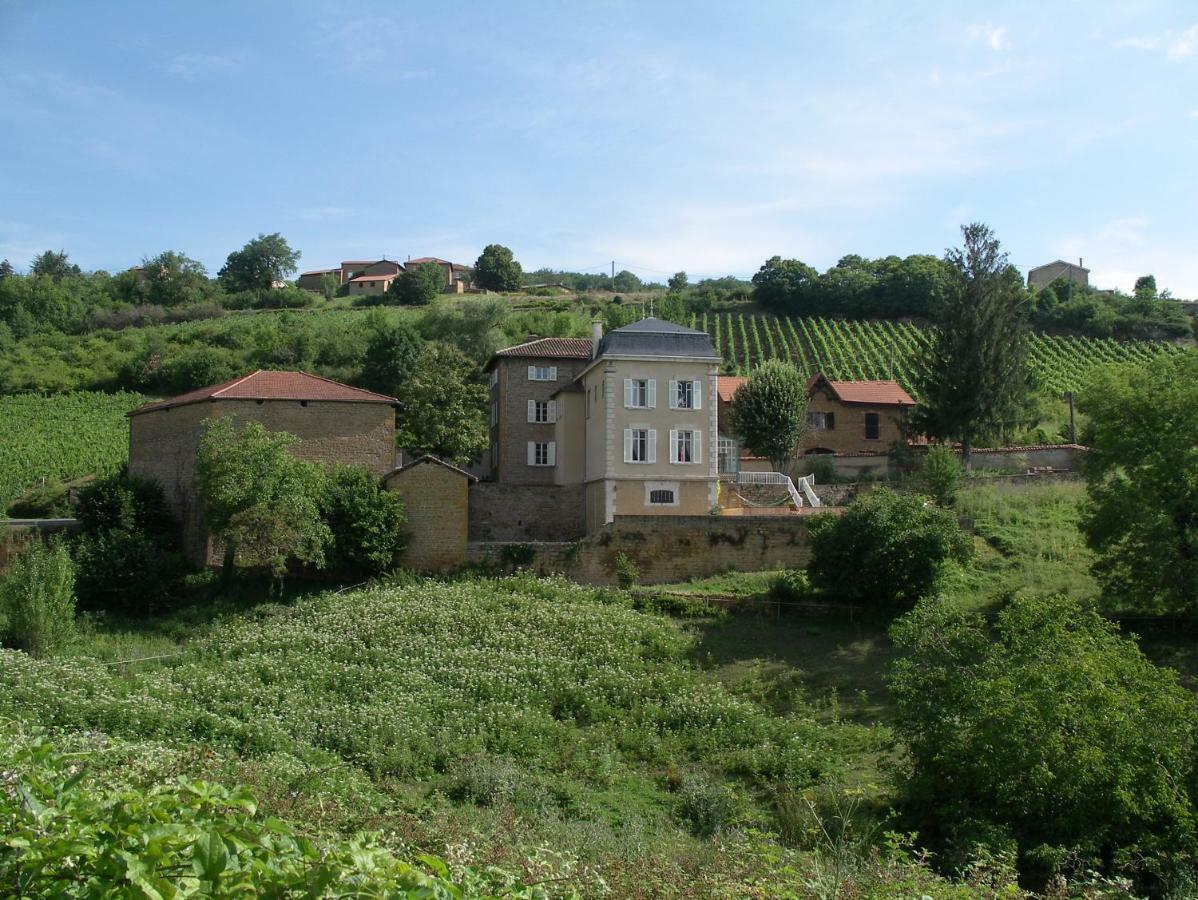 Le Clos Des Fayettes Theize Екстериор снимка