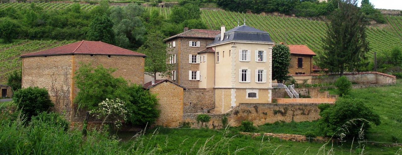 Le Clos Des Fayettes Theize Екстериор снимка