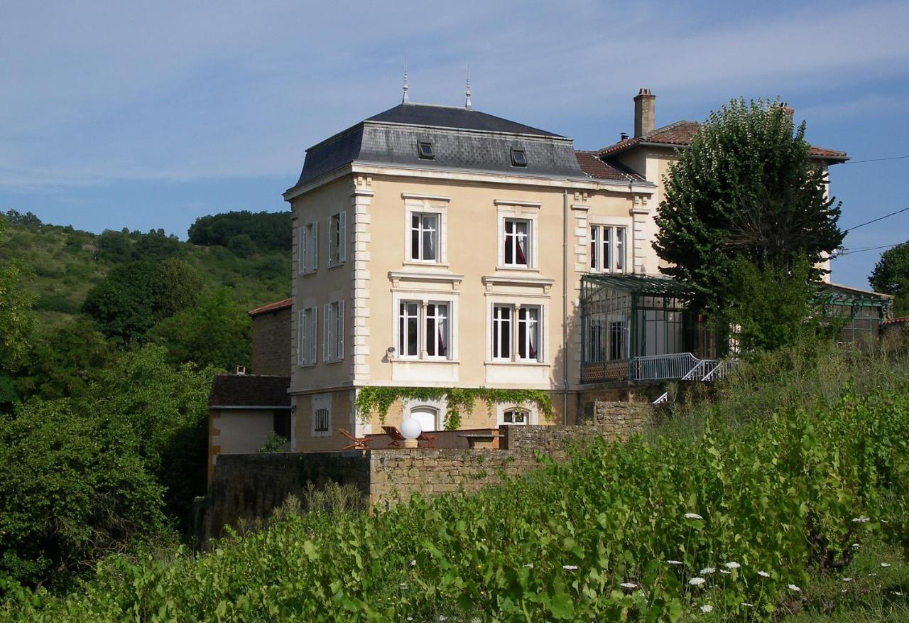 Le Clos Des Fayettes Theize Екстериор снимка
